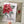 Load image into Gallery viewer, POINSETTIA Christmas Card