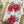 Load image into Gallery viewer, POINSETTIA COLLECTION Gift Wrap Belly-Bands