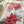 Load image into Gallery viewer, POINSETTIA COLLECTION Gift Wrap Belly-Bands