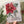 Load image into Gallery viewer, POINSETTIA Christmas Card