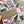 Load image into Gallery viewer, AUSTRALIAN BIRDS Christmas Gift Wrap Belly-Bands