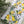 Load image into Gallery viewer, LEMON & LAVENDER COLLECTION Gift Wrap Belly-Bands