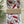 Load image into Gallery viewer, AUSTRALIAN CALLISTEMON Gift Wrap Belly-Bands