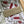 Load image into Gallery viewer, AUSTRALIAN CALLISTEMON Gift Wrap Belly-Bands