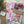 Load image into Gallery viewer, AUSTRALIAN WARATAH / PROTEA Christmas Gift Wrap Belly-Bands