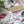Load image into Gallery viewer, AUSTRALIAN BIRDS Gift Wrap Belly-Bands