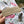 Load image into Gallery viewer, AUSTRALIAN BIRDS Gift Wrap Belly-Bands