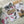Load image into Gallery viewer, AUSTRALIAN BIRDS Gift Wrap Belly-Bands