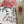 Load image into Gallery viewer, POINSETTIA Christmas Card
