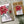 Load image into Gallery viewer, POINSETTIA Christmas Card