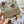Load image into Gallery viewer, AUSTRALIAN ANIMALS Gift Wrap Belly-Bands