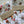 Load image into Gallery viewer, AUSTRALIAN ANIMALS Gift Wrap Belly-Bands