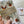 Load image into Gallery viewer, AUSTRALIAN ANIMALS Gift Wrap Belly-Bands