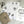 Load image into Gallery viewer, BOTANICALS Writing Paper Set (Non-Personalised)
