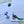 Load image into Gallery viewer, FLORAL PEACOCK Writing Paper Set - (Non-Personalised)