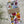 Load image into Gallery viewer, PANSY Gift Wrap Belly-Bands