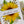 Load image into Gallery viewer, SUNFLOWER Mothers Day Card