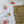 Load image into Gallery viewer, AUSTRALIAN BOTANICAL SCRIPTURE Writing set