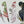 Load image into Gallery viewer, AUSTRALIAN BIRDS PROFILE Writing Paper Set (Non-Personalised)