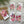 Load image into Gallery viewer, New! AUSTRALIAN WARATAH Gift tags