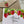 Load image into Gallery viewer, STRAWBERRY Collection Thank You Cards