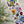 Load image into Gallery viewer, PANSY Gift Wrap Belly-Bands