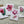 Load image into Gallery viewer, TROPICAL cards set of 4