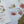 Load image into Gallery viewer, AUSTRALIAN BOTANICAL Writing set (Non-Personalised)