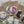Load image into Gallery viewer, AUSTRALIAN BIRDS Large Magnets