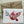 Load image into Gallery viewer, AUSTRALIAN NATIVE BOUQUET Dove Christmas Card