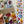 Load image into Gallery viewer, PANSY Gift Wrap Belly-Bands