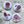 Load image into Gallery viewer, AUSTRALIAN COLLECTION Large Magnets Waratah, Protea, Callistemon