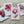 Load image into Gallery viewer, TROPICAL cards set of 4
