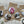 Load image into Gallery viewer, AUSTRALIAN BIRDS Large Magnets