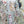 Load image into Gallery viewer, Australian Animal Bookmarks set of 10