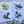 Load image into Gallery viewer, HUMMINGBIRD Cards set of 4