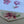Load image into Gallery viewer, TROPICAL Writing Paper Set (Non-Personalised)