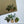 Load image into Gallery viewer, HOUSE PLANTS Collection Writing Paper Set (Non-Personalised)