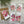 Load image into Gallery viewer, New! AUSTRALIAN WARATAH Gift tags