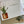 Load image into Gallery viewer, HOUSE PLANTS Mothers Day Card