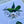 Load image into Gallery viewer, HUMMINGBIRD Postcards /Art Prints set of 4