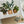 Load image into Gallery viewer, HOUSE PLANTS Mothers Day Card