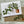 Load image into Gallery viewer, HOUSE PLANTS Collection - Birthday- Thank You - Congratulations - Blank