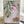 Load image into Gallery viewer, Premium Australian Notecard Set - Australian Animals, Birds & Flora - Postcards