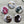 Load image into Gallery viewer, AUSTRALIAN BIRDS Large Magnets