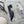 Load image into Gallery viewer, Australian Bird Bookmarks set of 2