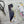 Load image into Gallery viewer, Australian Bird Bookmarks set of 2