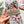Load image into Gallery viewer, AUSTRALIAN NATIVE BOUQUET Gift Wrap Belly-Bands