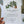 Load image into Gallery viewer, HOUSE PLANTS Collection Writing Paper Set (Non-Personalised)