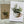 Load image into Gallery viewer, HOUSE PLANTS Collection - Birthday- Thank You - Congratulations - Blank